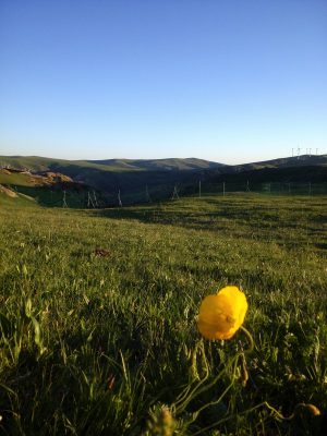 内蒙古自治区・輝謄錫勒草原／庫布齊砂漠の写真　月と太陽のドラマ-11