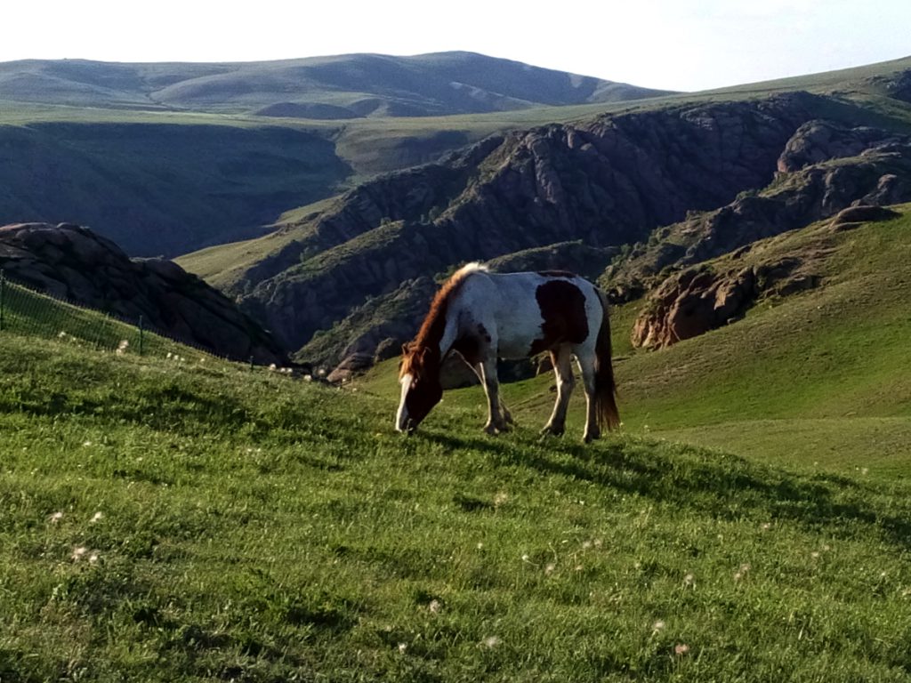 内蒙古自治区・輝謄錫勒草原、庫布齊砂漠の写真　月と太陽のドラマ2-3