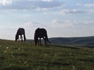 内蒙古自治区・輝謄錫勒草原、庫布齊砂漠の写真　月と太陽のドラマ2-7
