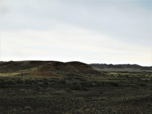 新疆ウィグル自治区・五彩灘の写真　砂漠と緑の競演-10