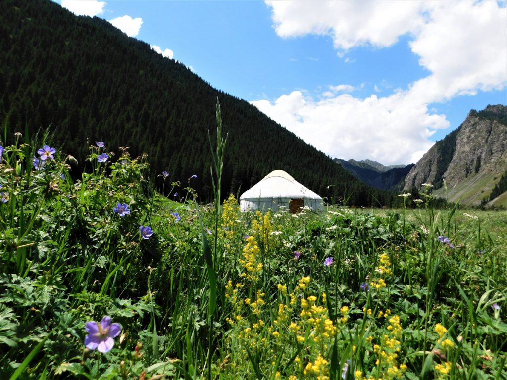 新疆ウィグル自治区・天山天池 南山牧場の写真　天山の山懐に抱かれて2-1