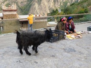 四川省・丹巴藏寨の写真　美人谷のある藏族の村-6
