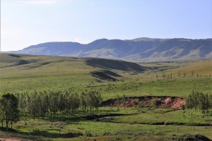 新疆ウィグル自治区・昭蘇の写真　生命が蘇る地3-11