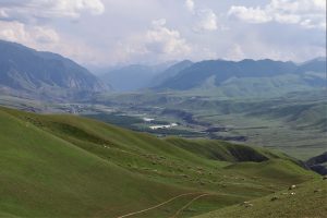 新疆ウィグル自治区・喀拉峻（カラジュン）の写真　波打つ、花と深緑の大草原-11