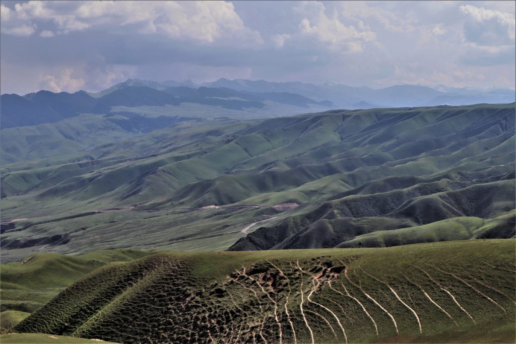 新疆ウィグル自治区・喀拉峻（カラジュン）の写真　波打つ、花と深緑の大草原-2