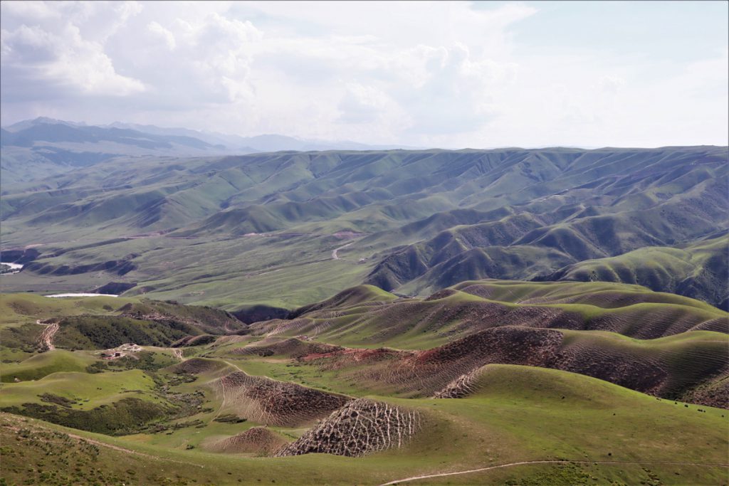 新疆ウィグル自治区・喀拉峻（カラジュン）の写真　波打つ、花と深緑の大草原-3