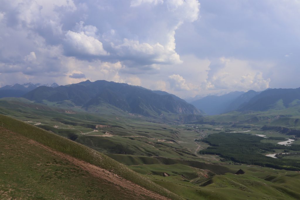 新疆ウィグル自治区・喀拉峻（カラジュン）の写真　波打つ、花と深緑の大草原-5