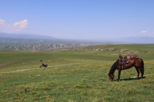 新疆ウィグル自治区・喀拉峻（カラジュン）の写真　波打つ、花と深緑の大草原-8