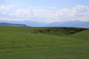 新疆ウィグル自治区・喀拉峻（カラジュン）の写真　波打つ、花と深緑の大草原3-11