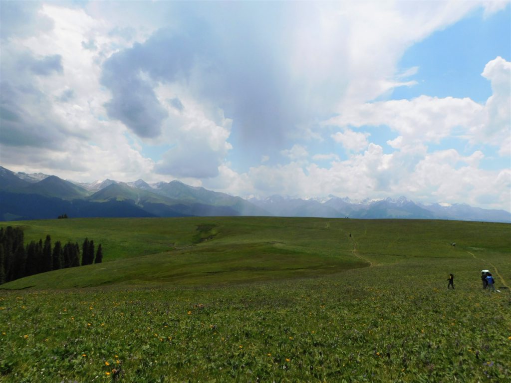 新疆ウィグル自治区・喀拉峻（カラジュン）の写真　波打つ、花と深緑の大草原3-2