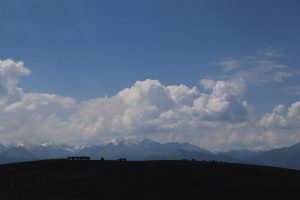 新疆ウィグル自治区・喀拉峻（カラジュン）の写真　波打つ、花と深緑の大草原3-9