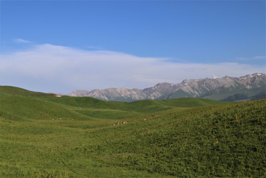 新疆ウィグル自治区・那拉堤（ナラテー）の写真　清風吹き渡る三面青山の草原劇場2-3