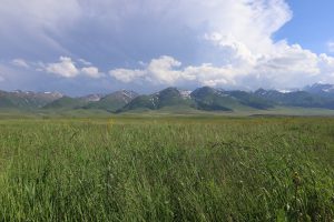 新疆ウィグル自治区・那拉堤（ナラテー）の写真　清風吹き渡る三面青山の草原劇場2-7