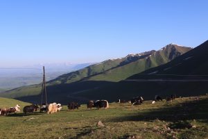新疆ウィグル自治区・中天山から国道218号を行くの写真　天山の浪漫の回廊-6