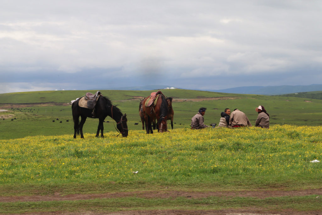 四川省・若尓盖（ルァルガイ）大草原の写真　感動溢れる仙境の阿壩藏族羌（チャン）族自治州-1