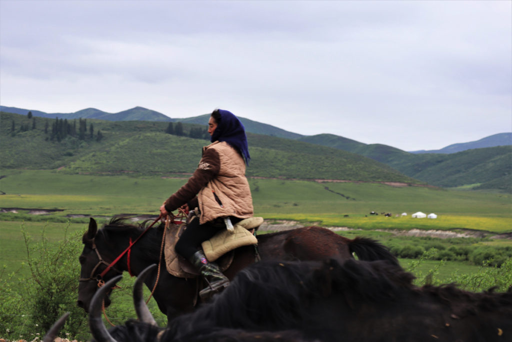 四川省・若尓盖（ルァルガイ）大草原の写真　感動溢れる仙境の阿壩藏族羌（チャン）族自治州-5