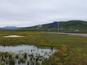 四川省・若尓盖（ルァルガイ）大草原の写真　感動溢れる仙境の阿壩藏族羌（チャン）族自治州-7
