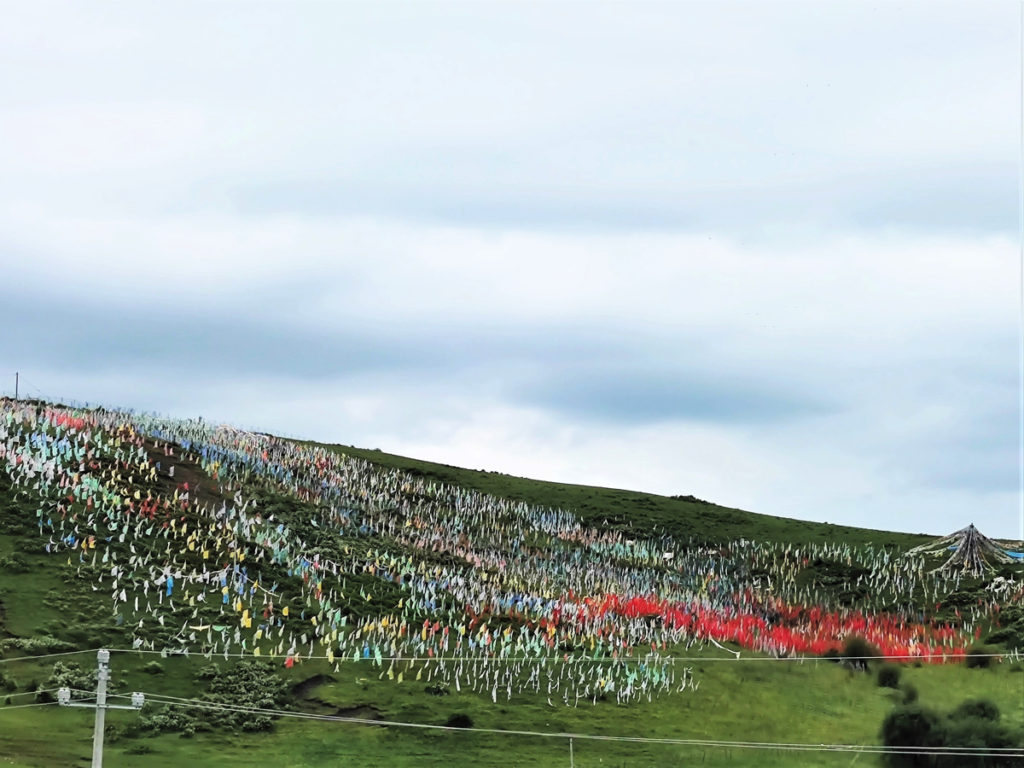 四川省・若尓盖（ルァルガイ）大草原の写真　感動溢れる仙境の阿壩藏族羌（チャン）族自治州2-3