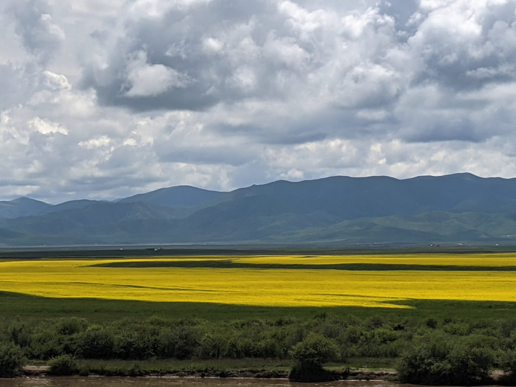 四川省・若尓盖（ルァルガイ）大草原の写真　感動溢れる仙境の阿壩藏族羌（チャン）族自治州3-2