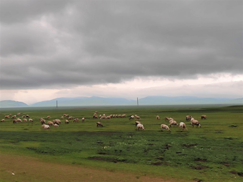 四川省・若尓盖（ルァルガイ）大草原の写真　感動溢れる仙境の阿壩藏族羌（チャン）族自治州3-5