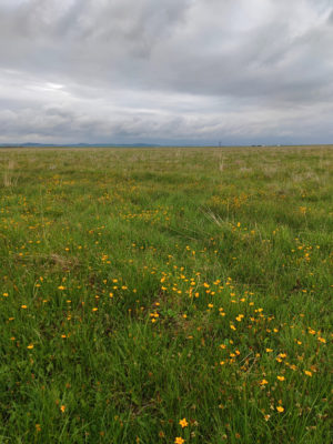 四川省・若尓盖（ルァルガイ）大草原の写真　感動溢れる仙境の阿壩藏族羌（チャン）族自治州6-11