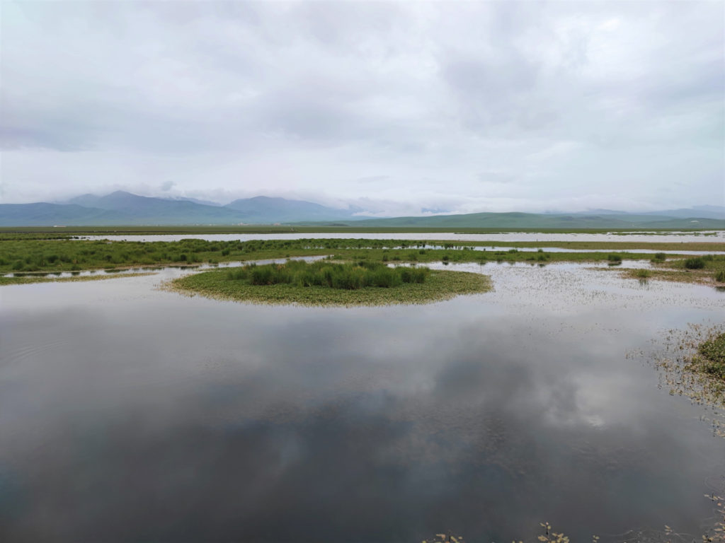 四川省・若尓盖（ルァルガイ）大草原の写真　感動溢れる仙境の阿壩藏族羌（チャン）族自治州6-2