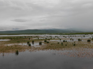 四川省・若尓盖（ルァルガイ）大草原の写真　感動溢れる仙境の阿壩藏族羌（チャン）族自治州6-8