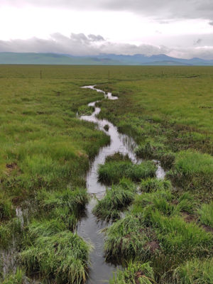 四川省・若尓盖（ルァルガイ）大草原の写真　感動溢れる仙境の阿壩藏族羌（チャン）族自治州6-9