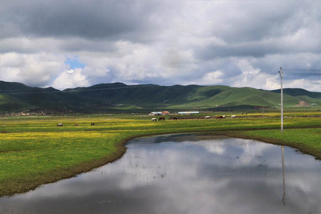 四川省・若尓盖（ルァルガイ）大草原の写真　感動溢れる仙境の阿壩藏族羌（チャン）族自治州7-5