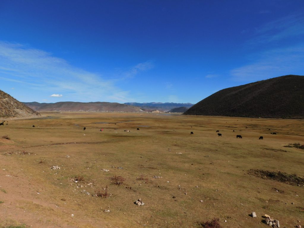 雲南省・香格里拉郊外 （松贊寺、納帕海、普達措国家公園）の写真　失われた地平線を求めて2-2