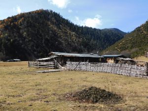 雲南省・香格里拉郊外 （松贊寺、納帕海、普達措国家公園）の写真　失われた地平線を求めて3-7