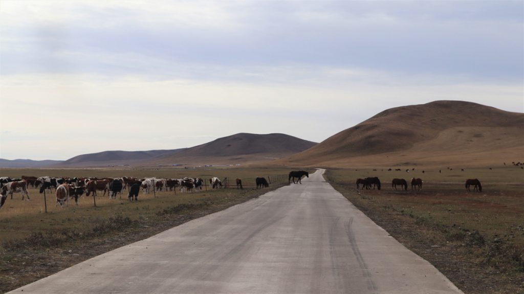 内蒙古自治区・室韋と黒山頭（904県道）の写真　室韋からロシア国境を黒山頭へ5-3