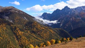 四川省・八美高原の写真　八美の紅葉に魅せられて-6