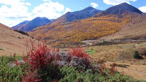 四川省・八美高原の写真　八美の紅葉に魅せられて-8