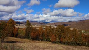 四川省・八美高原の写真　八美の紅葉に魅せられて2-10