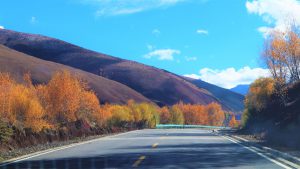 四川省・八美高原の写真　八美の紅葉に魅せられて2-11