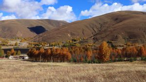 四川省・八美高原の写真　八美の紅葉に魅せられて2-9