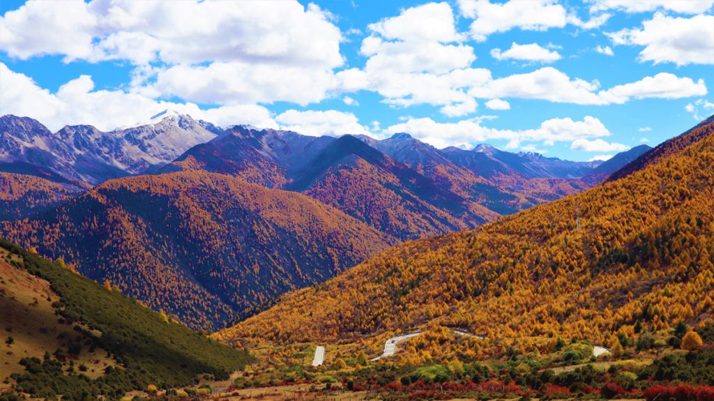 四川省・八美高原の写真　八美の紅葉に魅せられて3-4