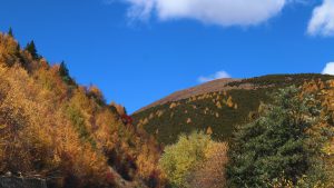 四川省・八美高原の写真　八美の紅葉に魅せられて3-9