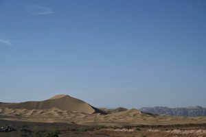 新疆ウィグル自治区・塔里木（タリム）盆地の写真　胡楊林を染めるタリムの夕陽2-10