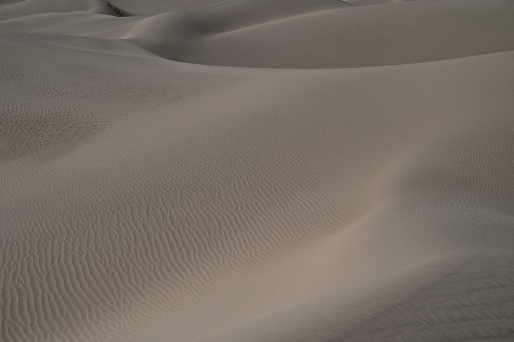 新疆ウィグル自治区・タクラマカン砂漠の写真　茫茫沙漠（果てなき砂漠）-4