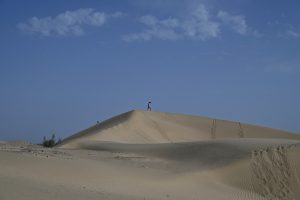 新疆ウィグル自治区・タクラマカン砂漠の写真　茫茫沙漠（果てなき砂漠）-7