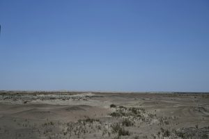 新疆ウィグル自治区・タクラマカン砂漠の写真　茫茫沙漠（果てなき砂漠）-8