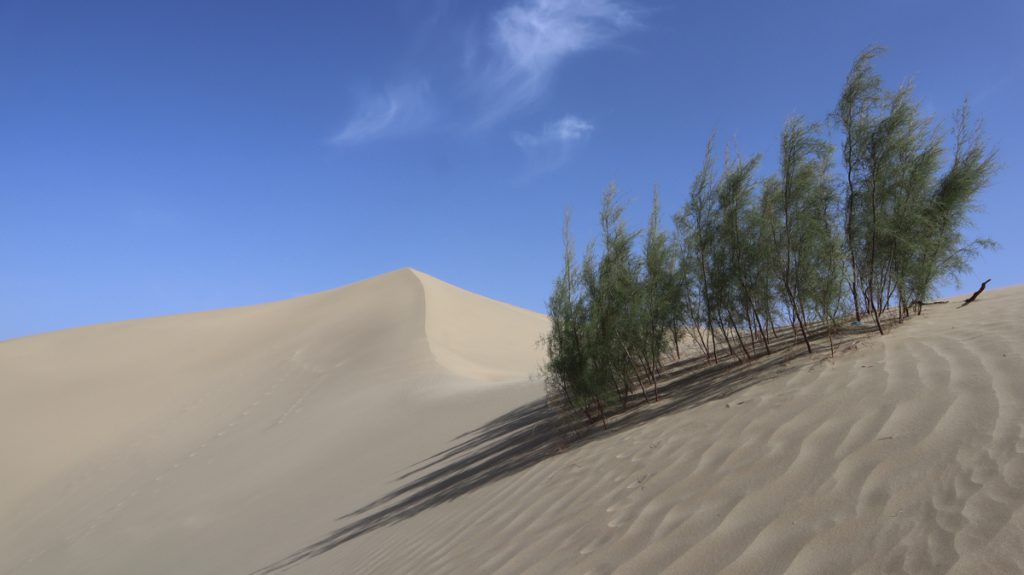 新疆ウィグル自治区・タクラマカン砂漠の写真　茫茫沙漠（果てなき砂漠）2-1