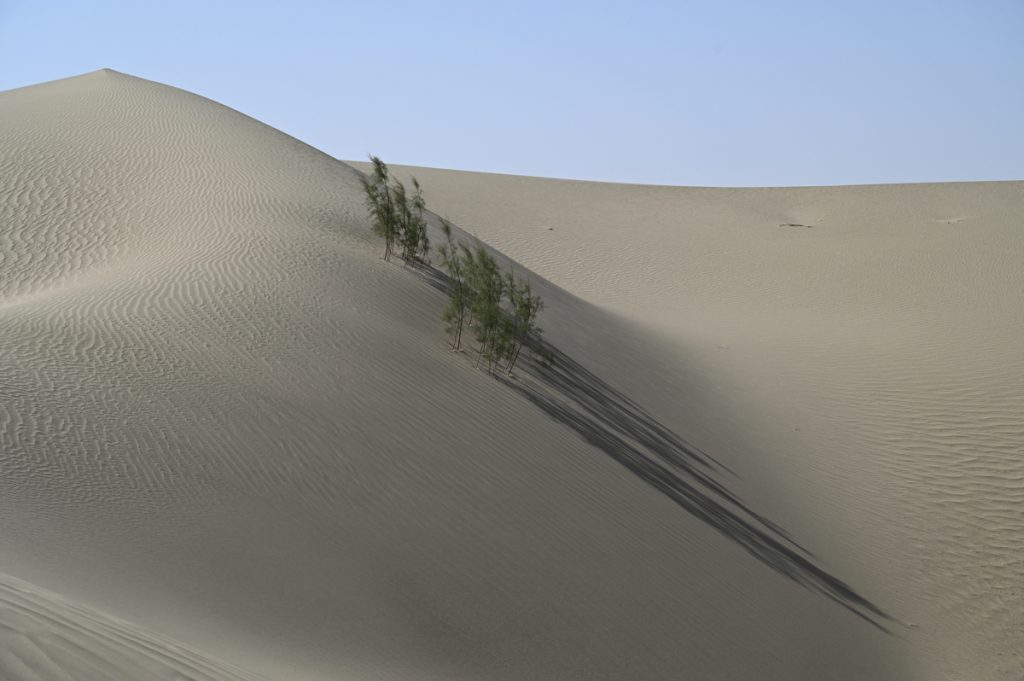 新疆ウィグル自治区・タクラマカン砂漠の写真　茫茫沙漠（果てなき砂漠）2-2