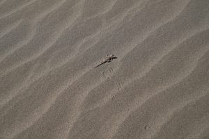 新疆ウィグル自治区・タクラマカン砂漠の写真　茫茫沙漠（果てなき砂漠）2-7