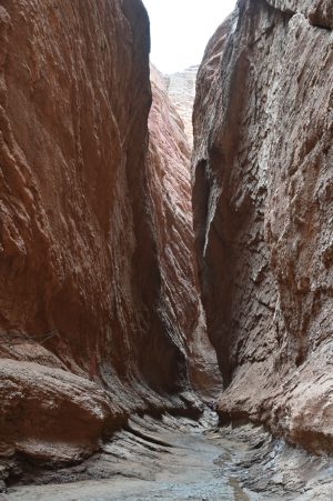 新疆ウィグル自治区・庫車峡谷、天山托木尓峡谷の写真　炎熱の谷から緑の天山へ-7