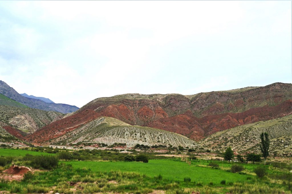 新疆ウィグル自治区・の写真　炎熱の谷から緑の天山へ4-3