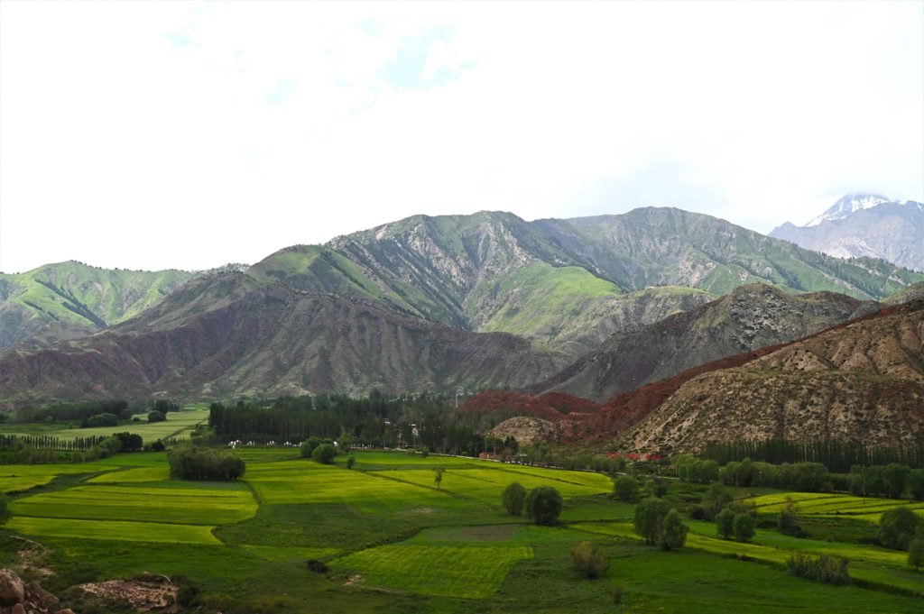 新疆ウィグル自治区・の写真　炎熱の谷から緑の天山へ4-4