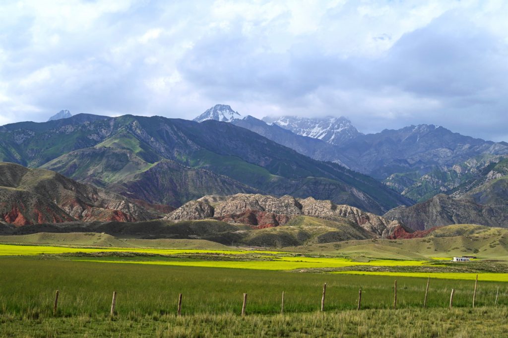 新疆ウィグル自治区・の写真　炎熱の谷から緑の天山へ4-5